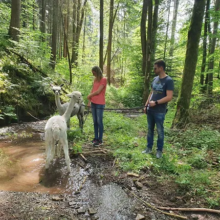 Lana Salta Alpakas - Gemuetliche Auf Dem Bauernhof アパート