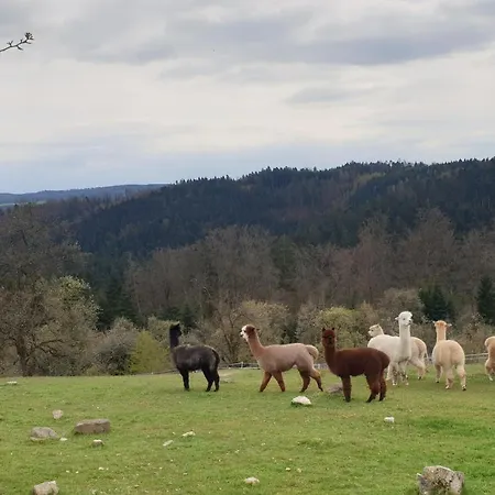 Lana Salta Alpakas - Gemuetliche Auf Dem Bauernhof