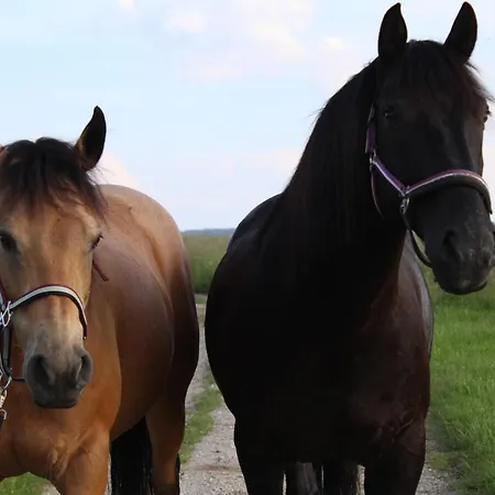 Lana Salta Alpakas - Gemuetliche Auf Dem Bauernhof アパート