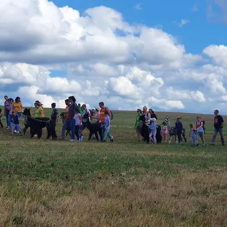 Lana Salta Alpakas - Gemuetliche Auf Dem Bauernhof * Murrhardt